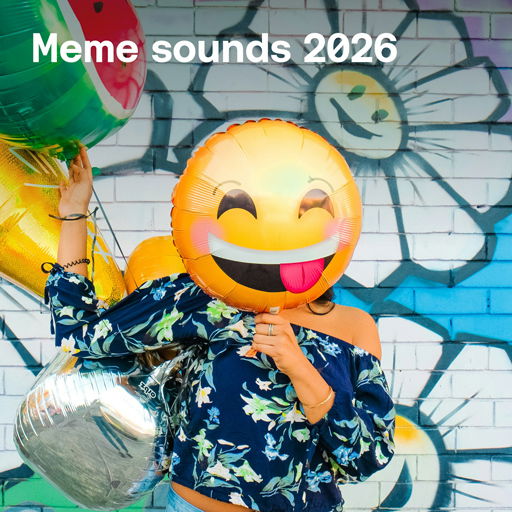 Meme sounds 2026