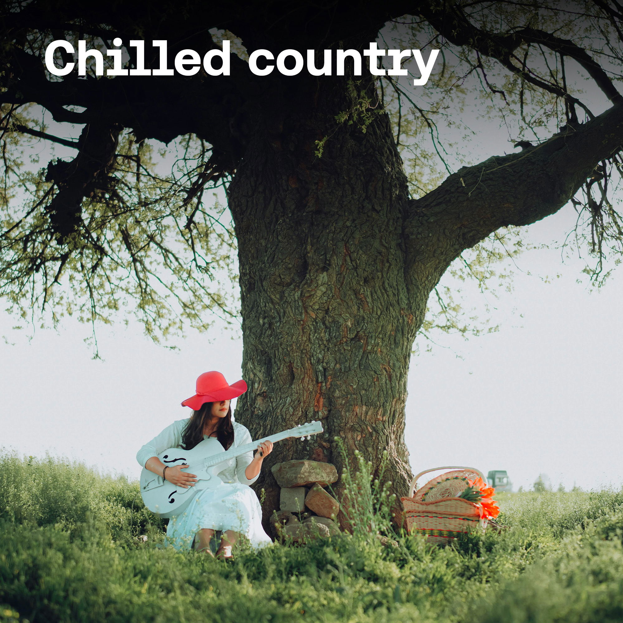 Chilled country