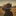 Closing credits