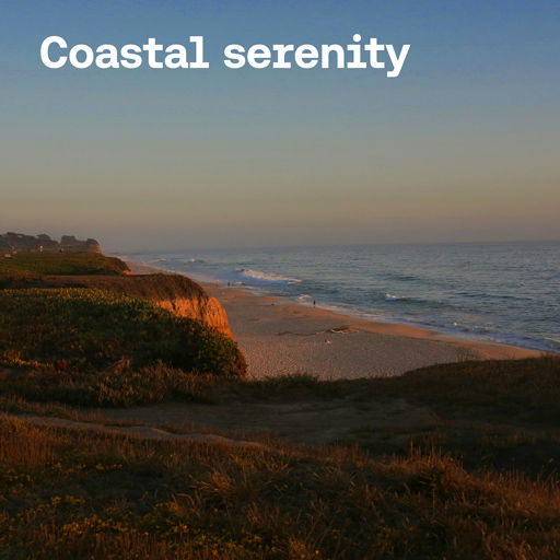 Coastal serenity