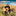 Country roots