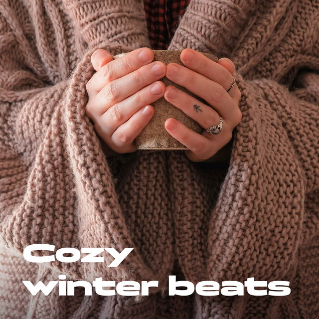 Cozy winter beats cover image