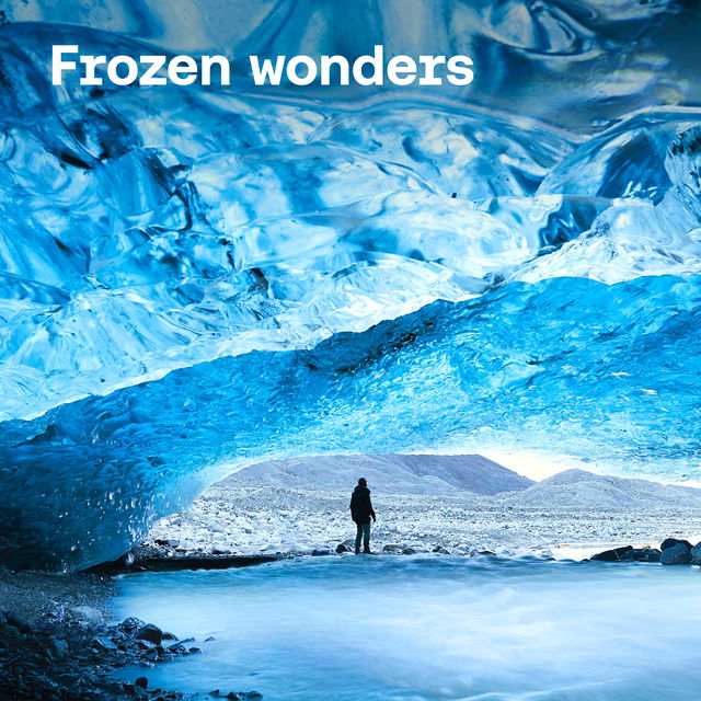 Frozen wonders cover image