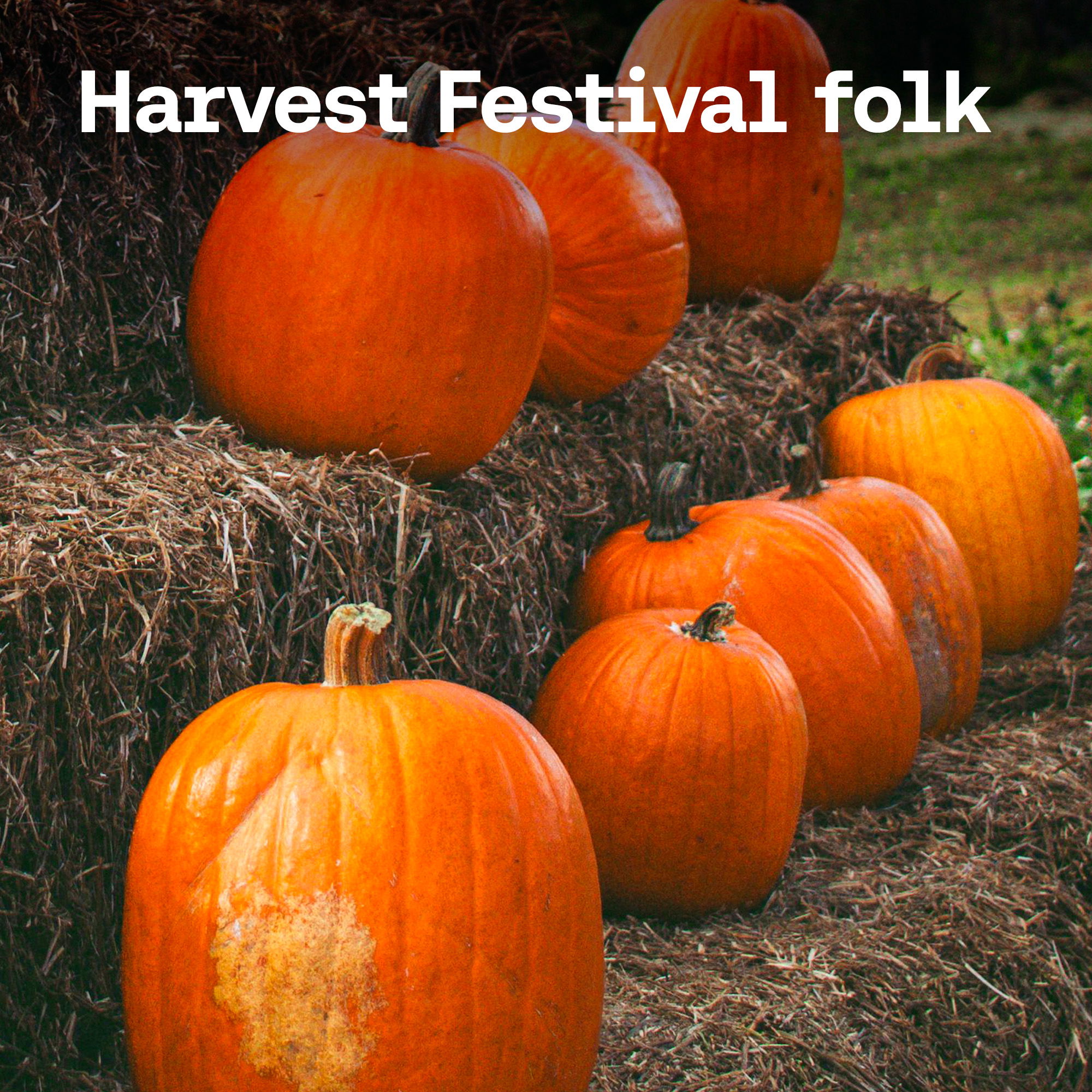 Harvest Festival folk