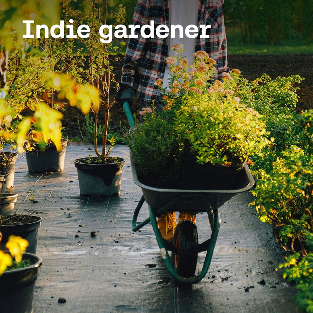 Indie gardener cover image