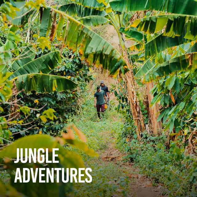 Jungle adventures cover image