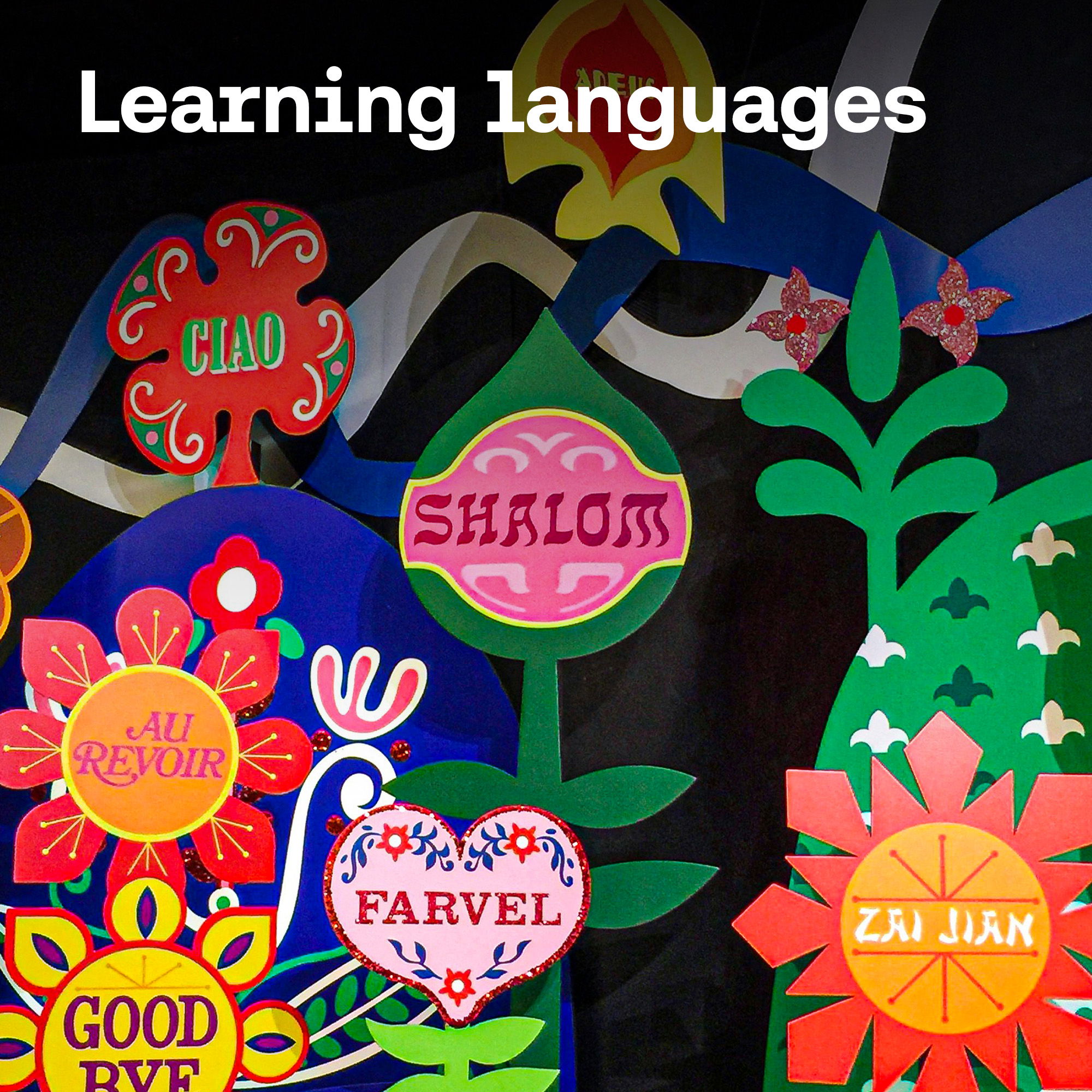 Language learning