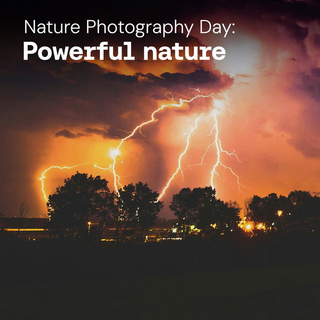 Powerful nature cover image