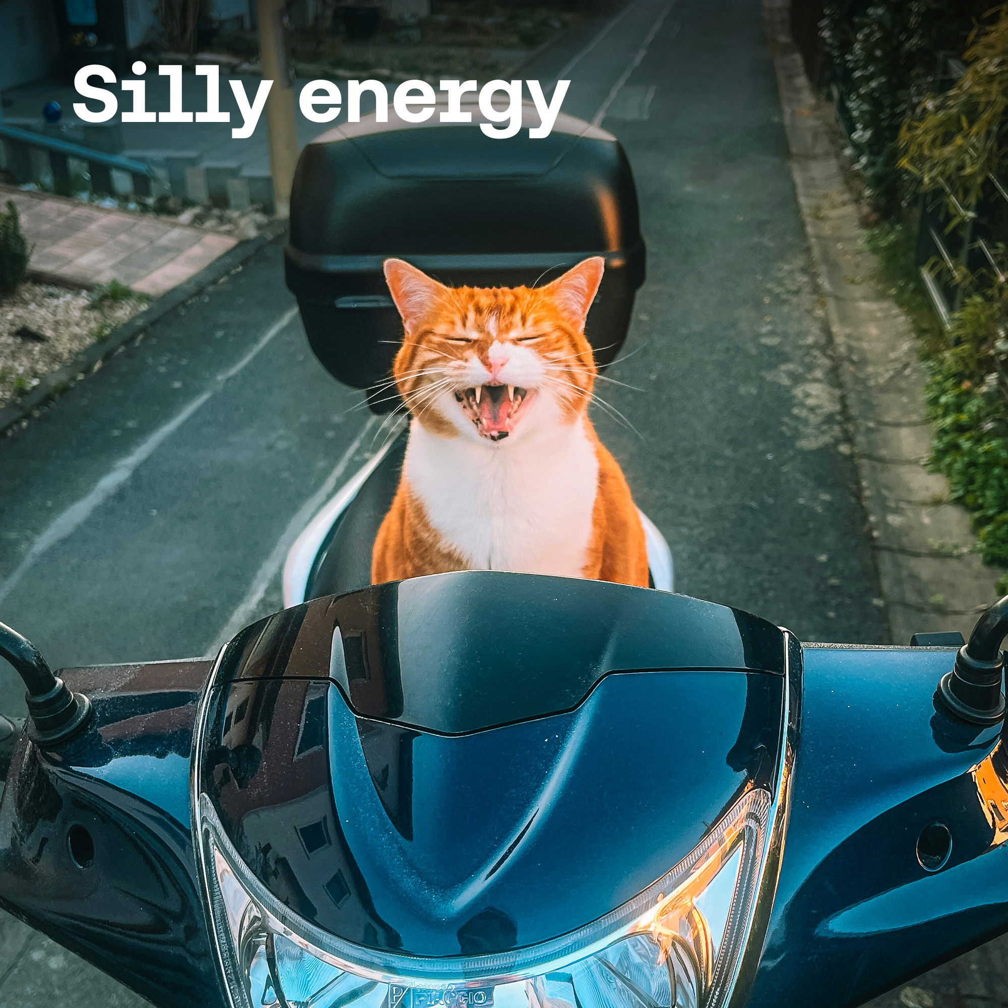 Silly energy