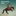 Wild country beats