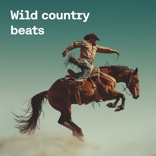 Wild country beats cover image