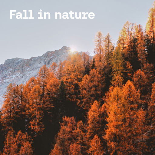 Fall in nature cover image