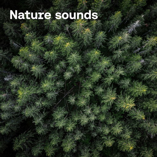 Nature sounds cover image