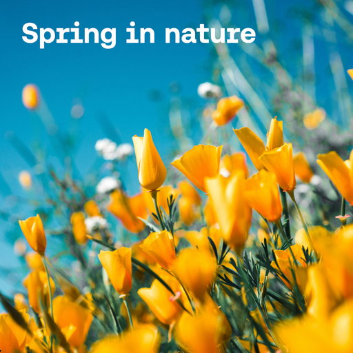 Spring in nature
