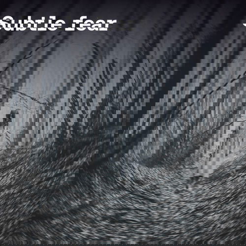 Subtle fear cover image