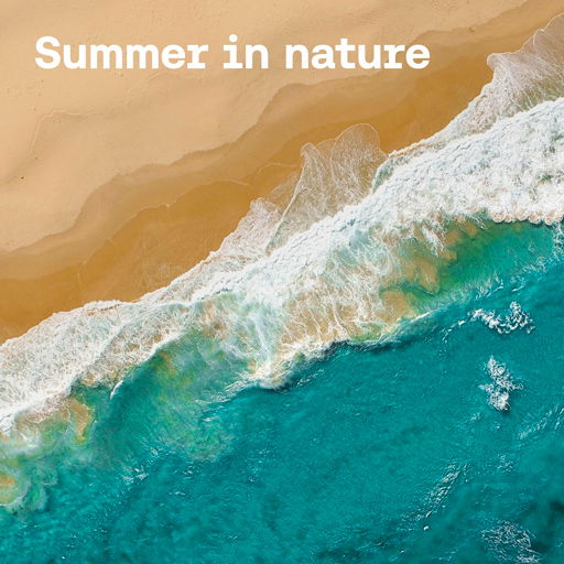 Summer in nature cover image
