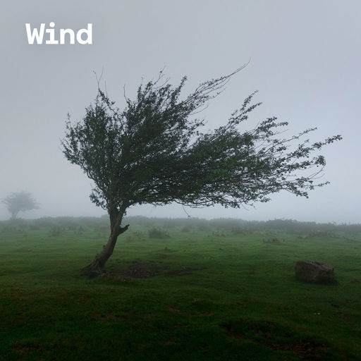 Free wind sounds cover image