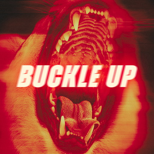 Buckle up cover image