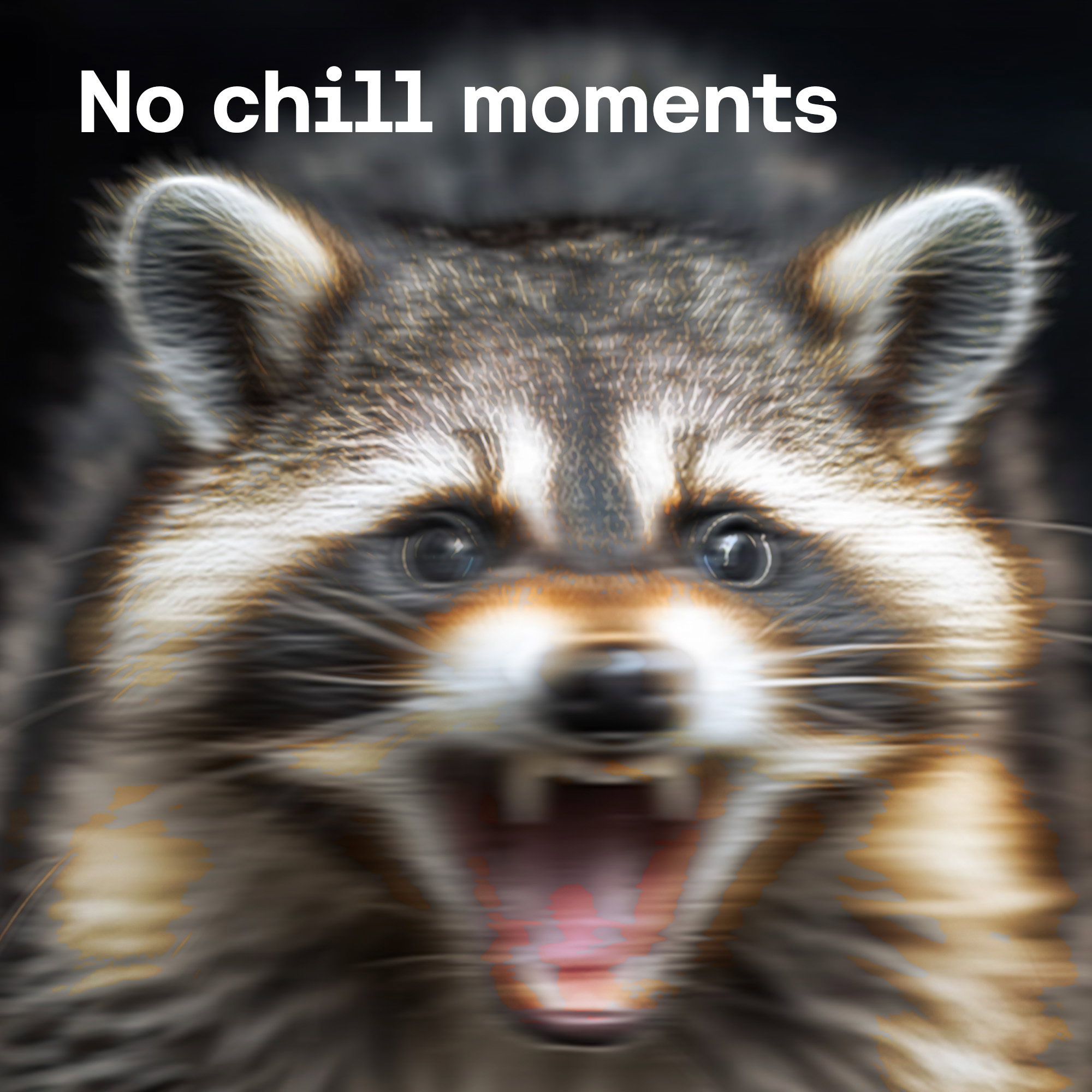No Chill Moments
