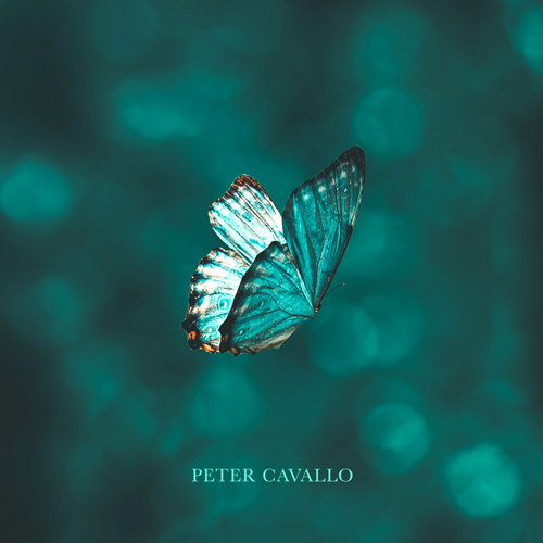 Peter Cavallo