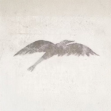 Sky Flying By