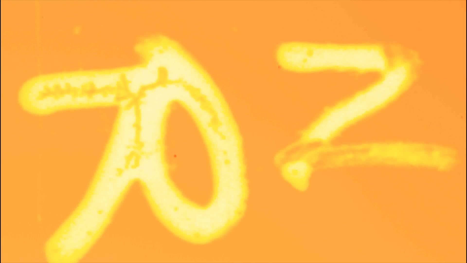 16mm Film Burn Overlays