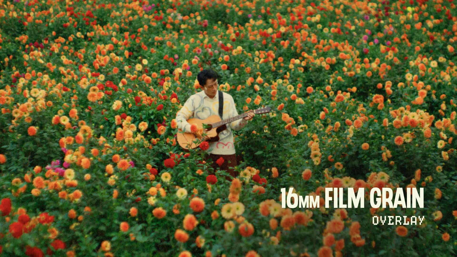 16mm Film Grain Overlay