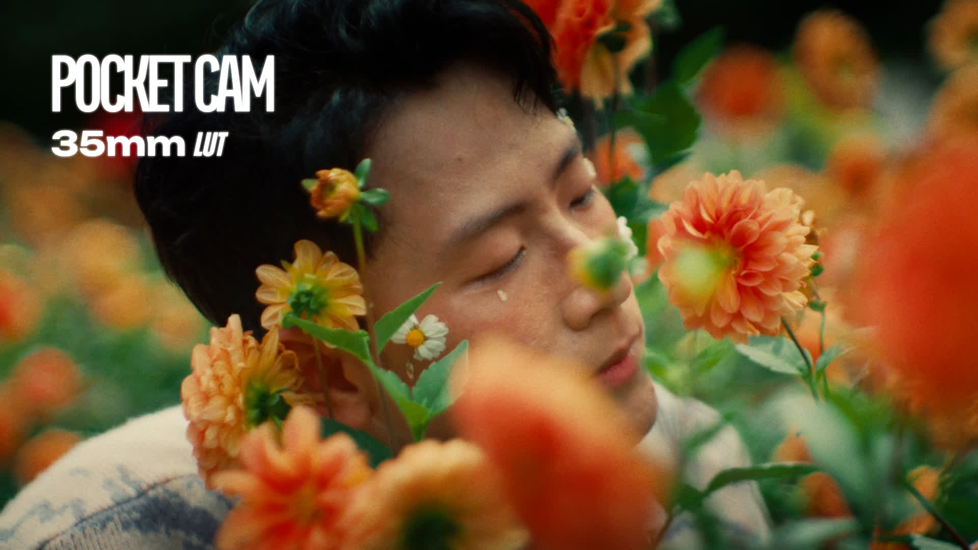35mm Pocket Cam LUT