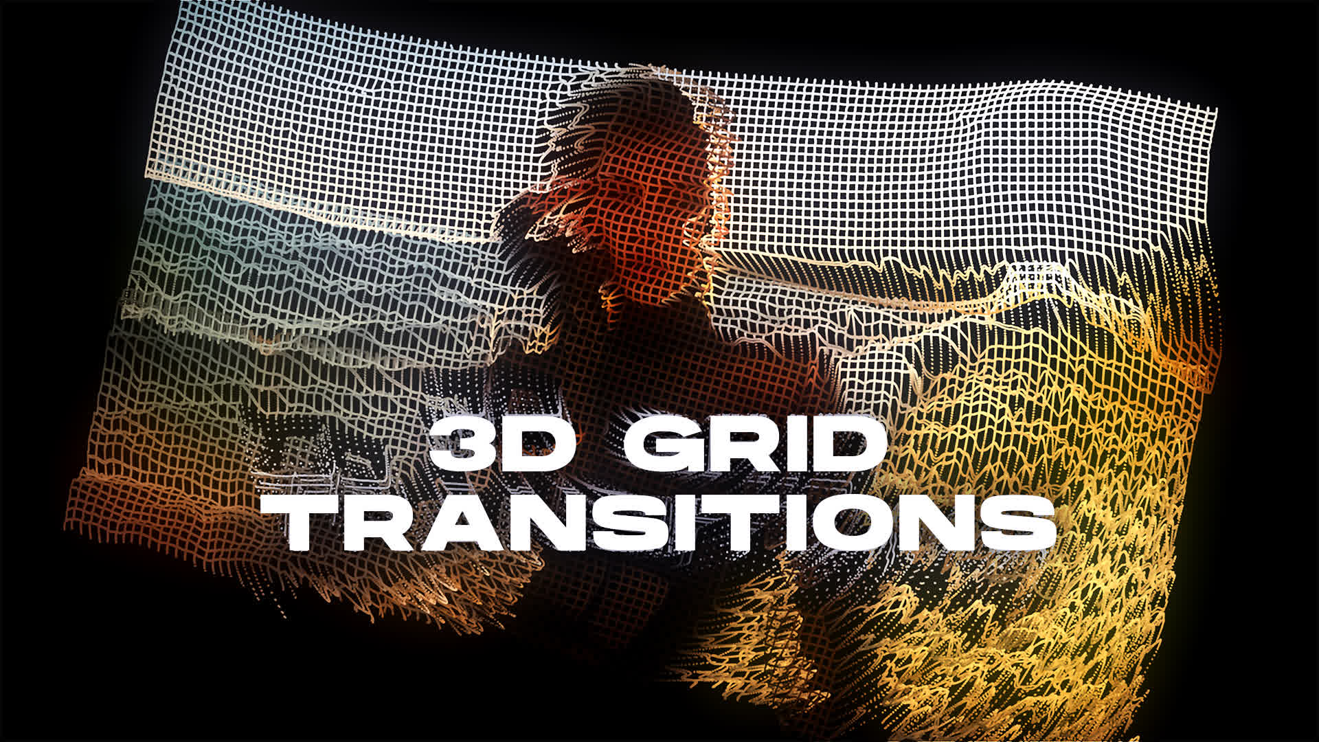 3D Grid Transitions