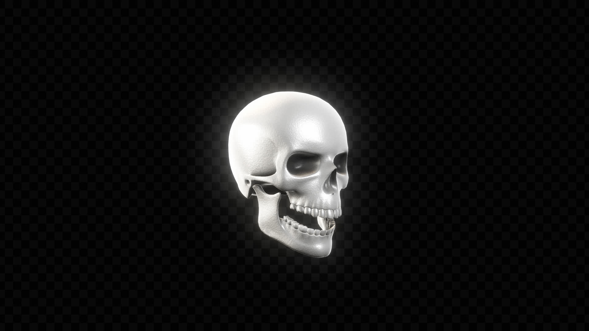 3D Skull on Alpha