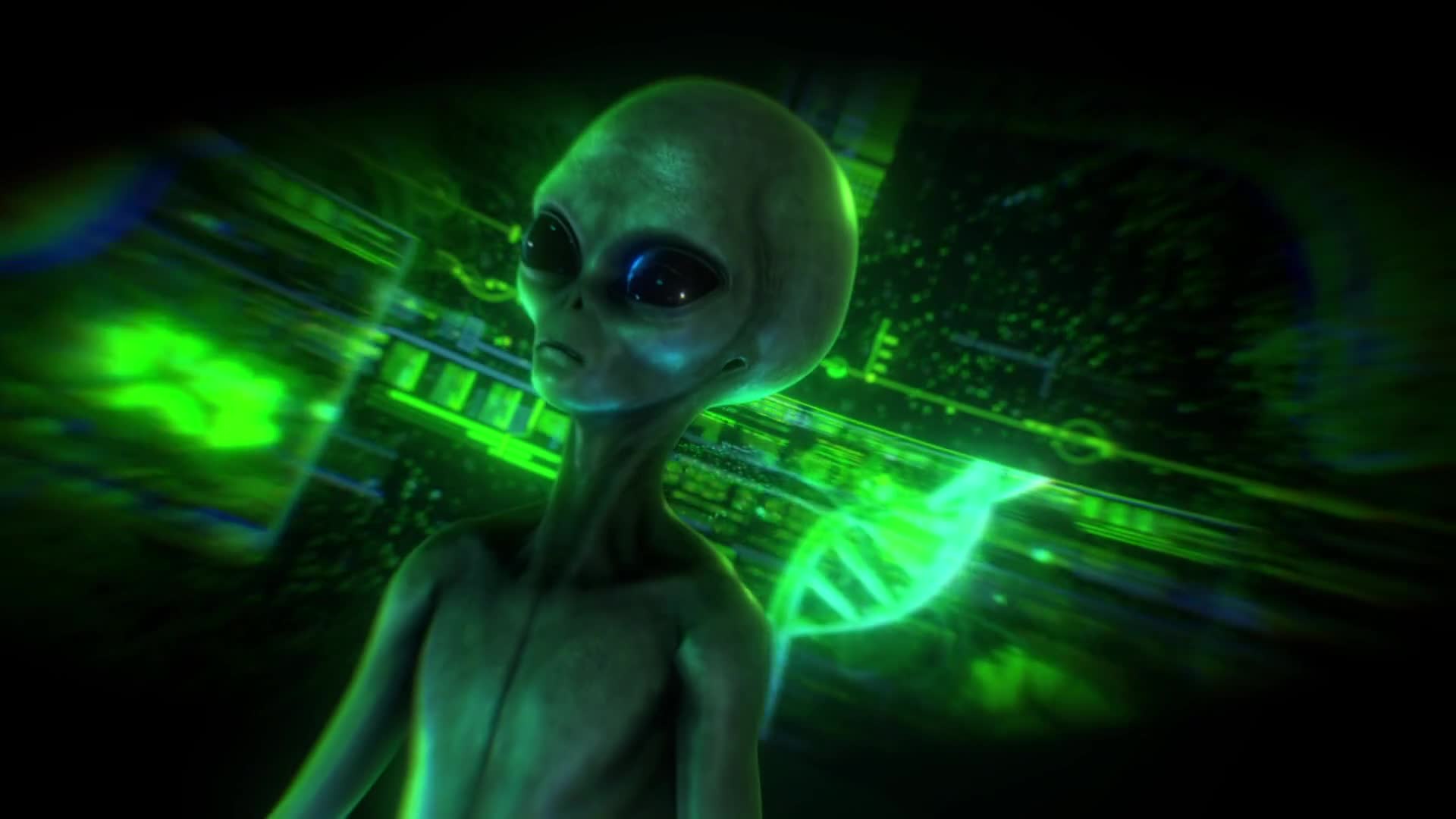 Alien Grey and Holographic Data