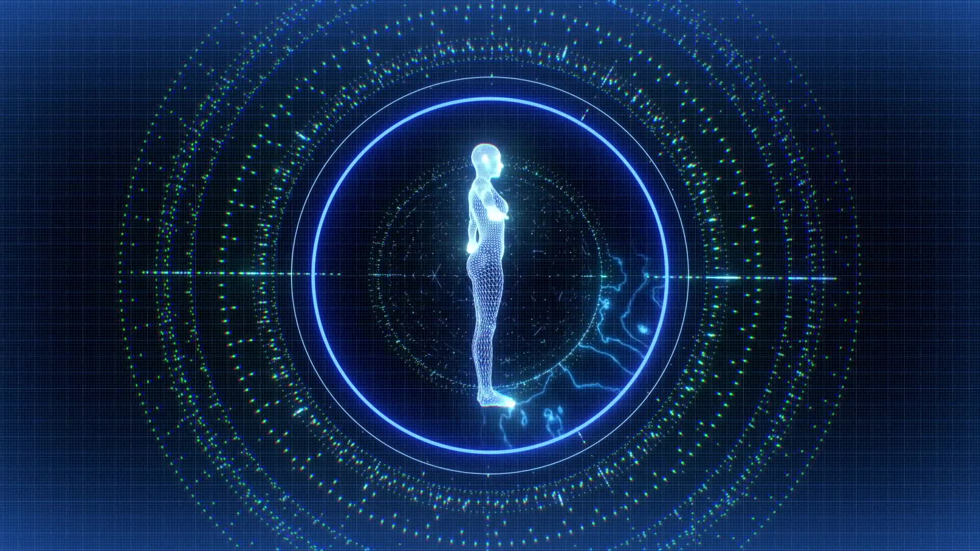 Anatomical HUD Screen Background