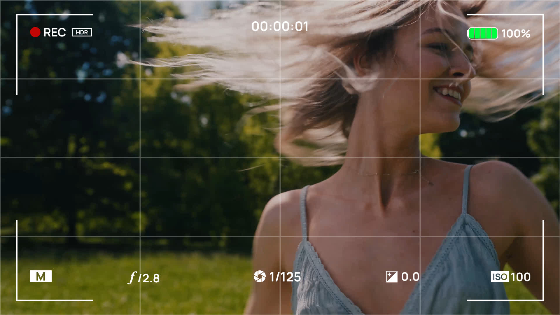 Animated Camera Recording Interface With Framing Grid