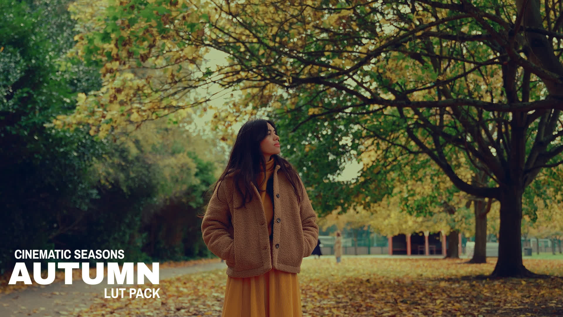 Autumn Cinematic Seasons LUTs