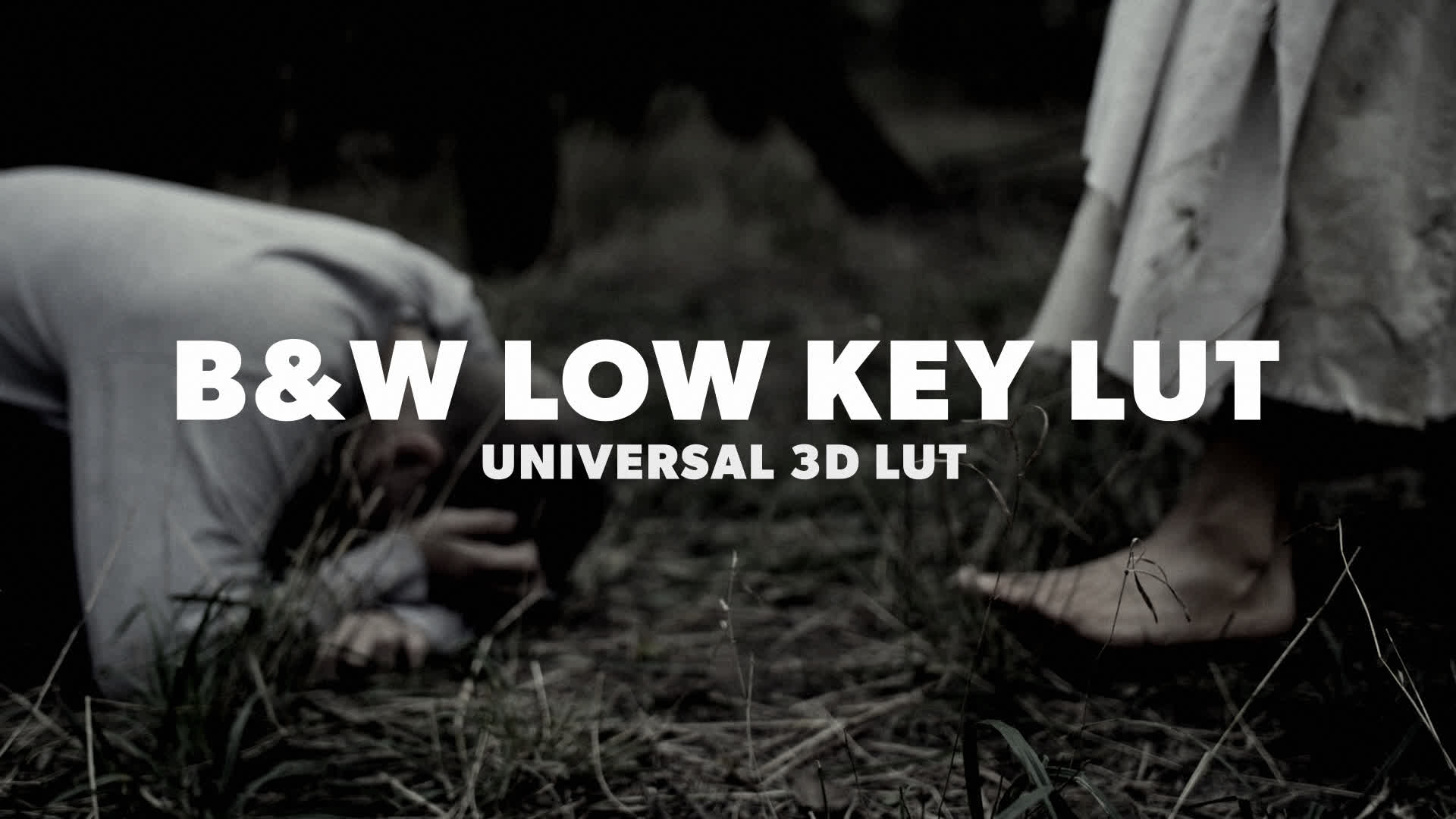 BW Low Key LUT