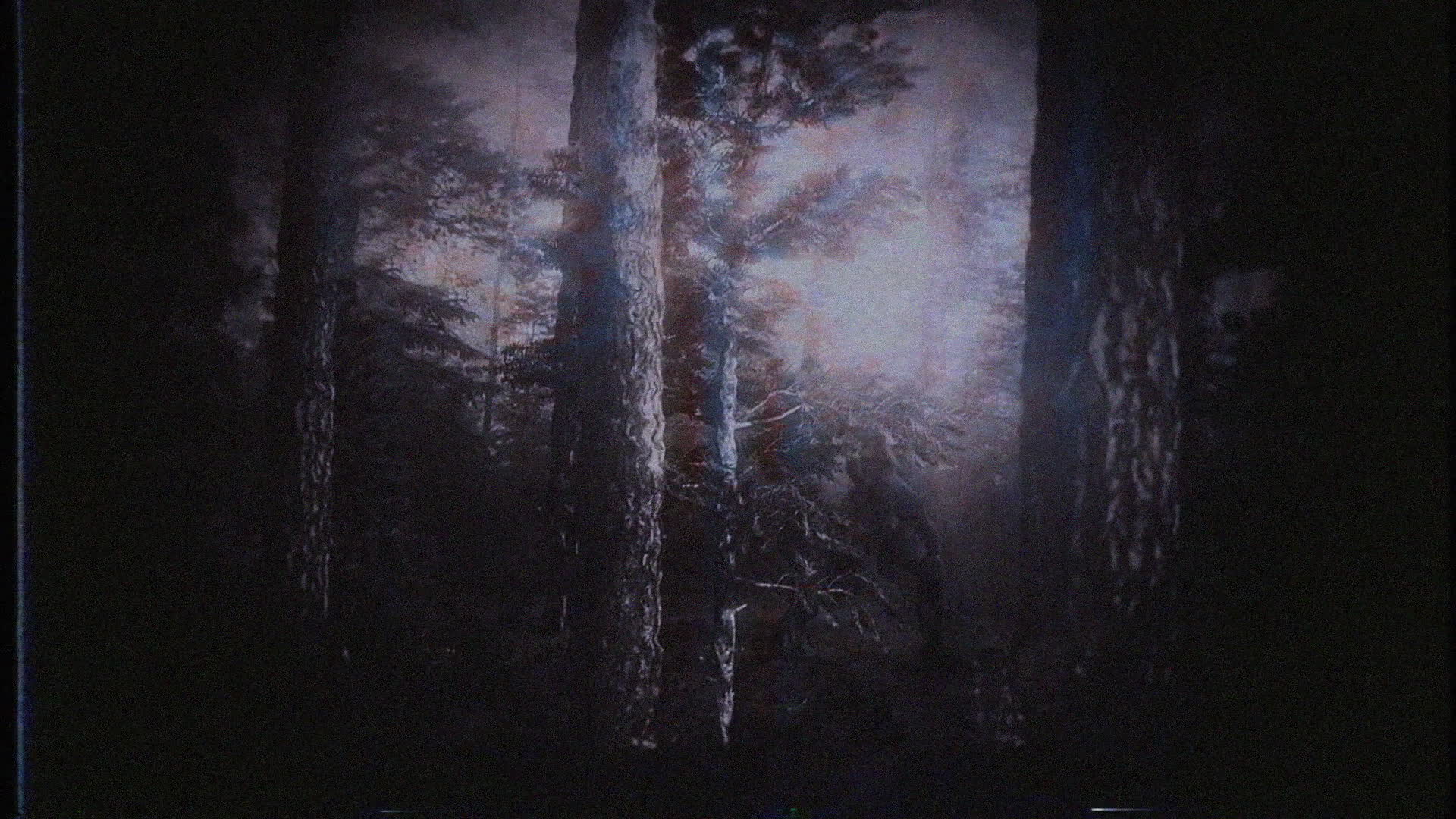 Bigfoot Caught On Film