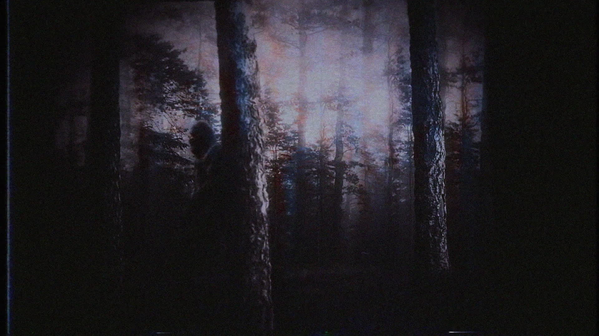 Bigfoot Caught On Old VHS Film