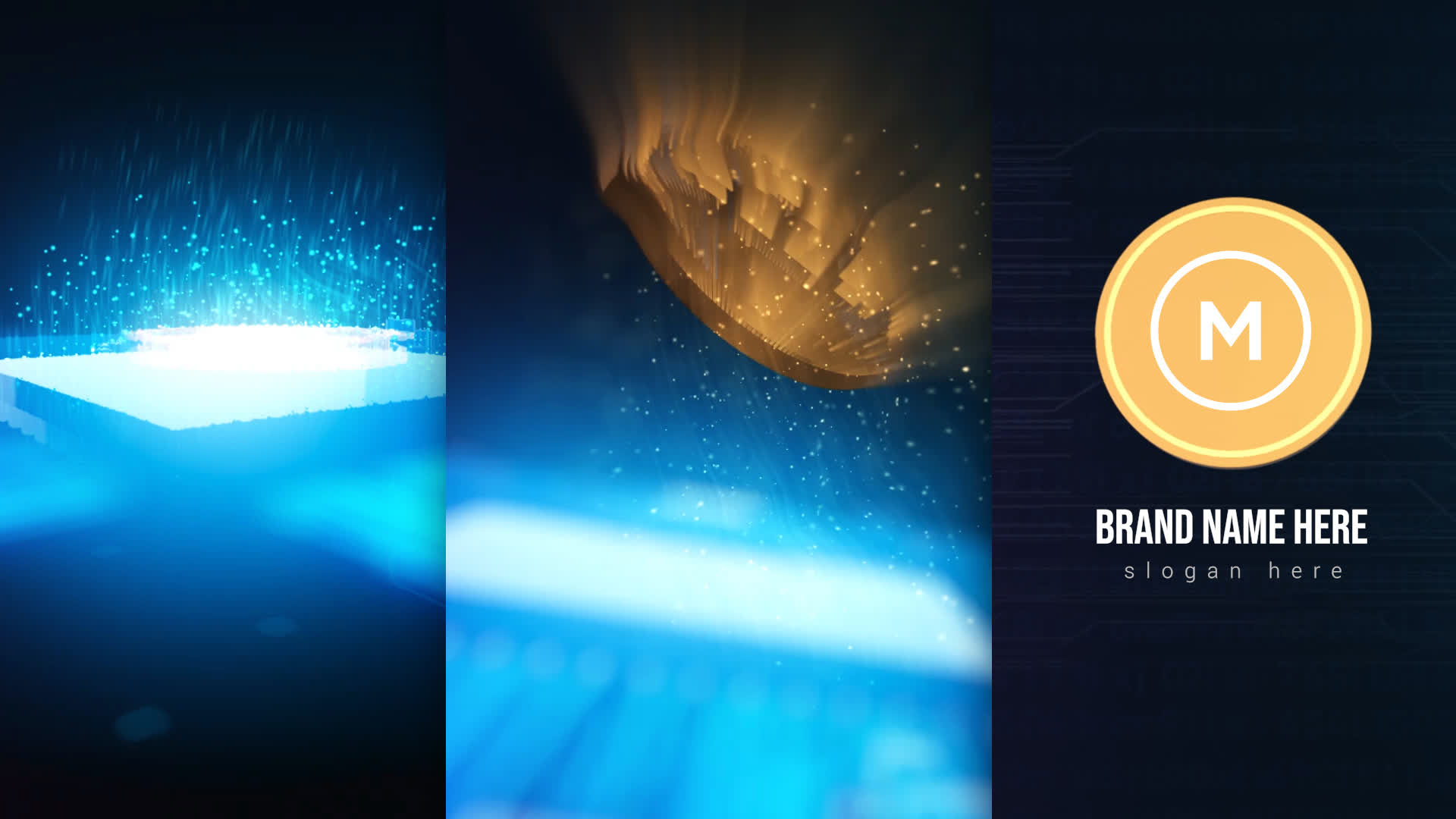 Bitcoin Logo Reveal