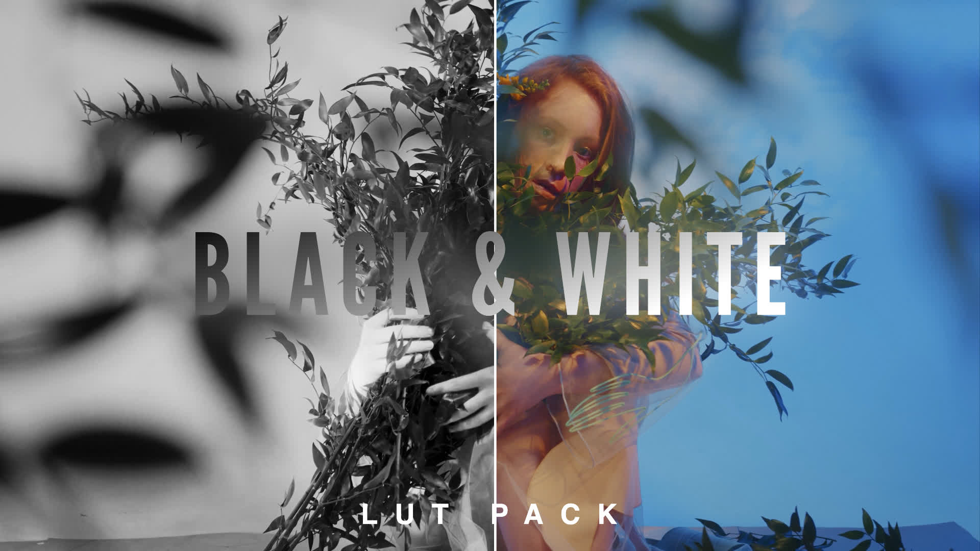 Black And White Luts