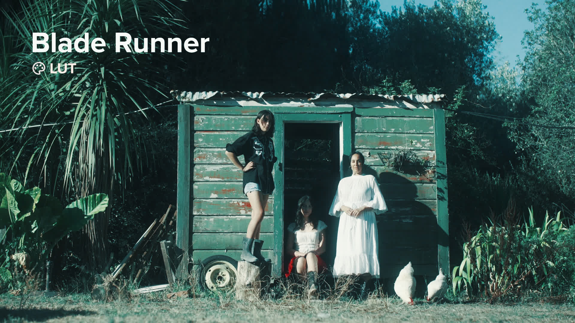 Blade Runner Inspired LUT