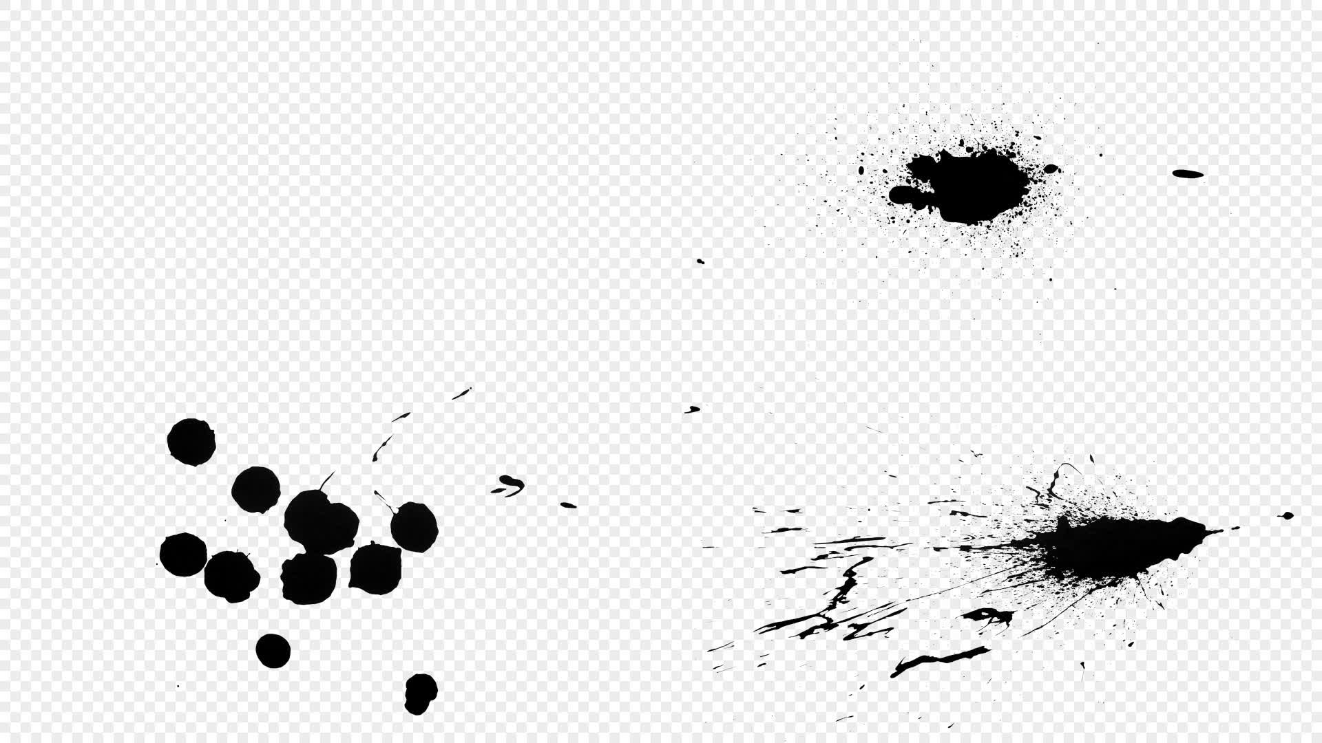 Brush Element Variety Bundle