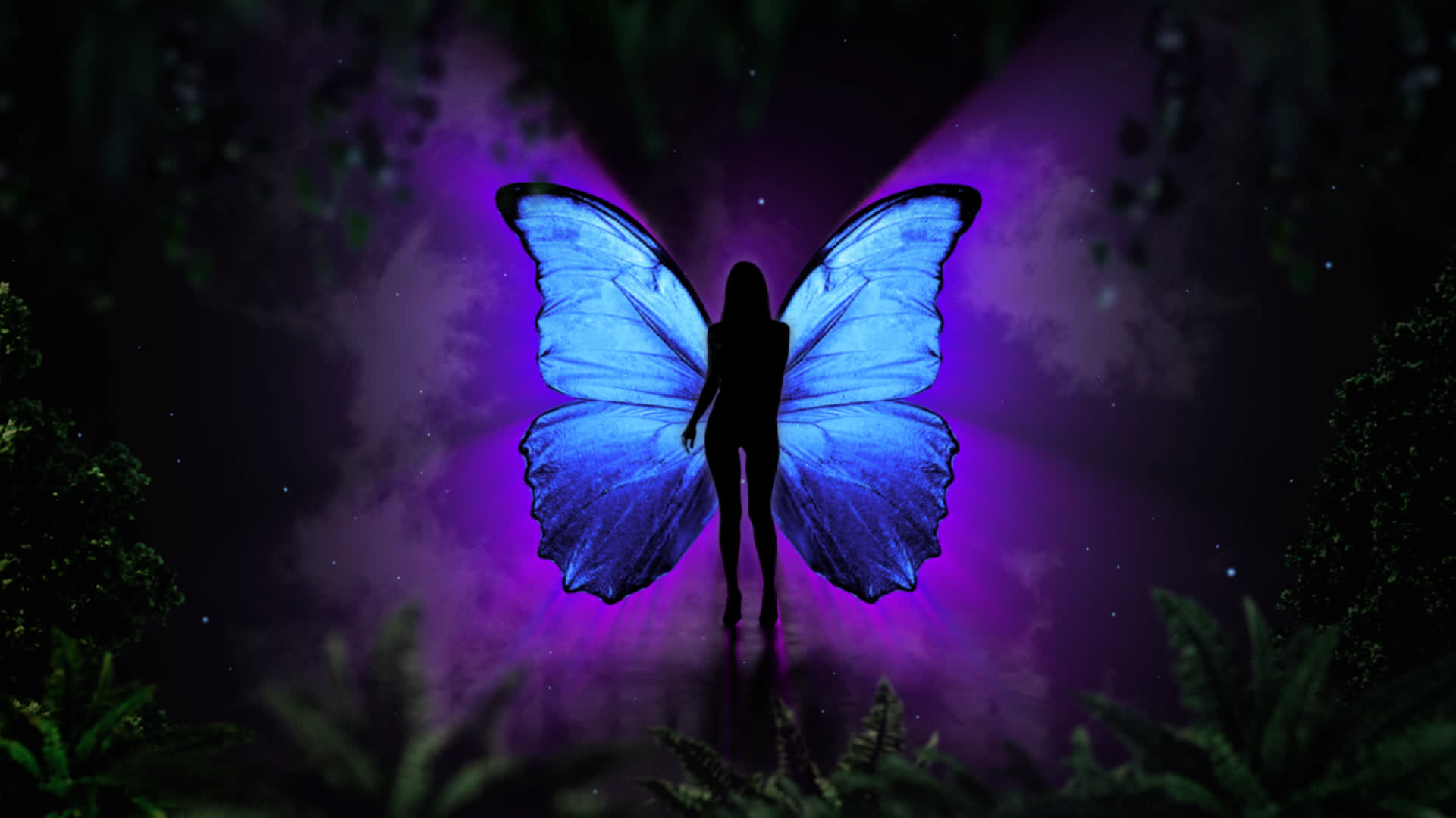Butterfly Silhouette Background