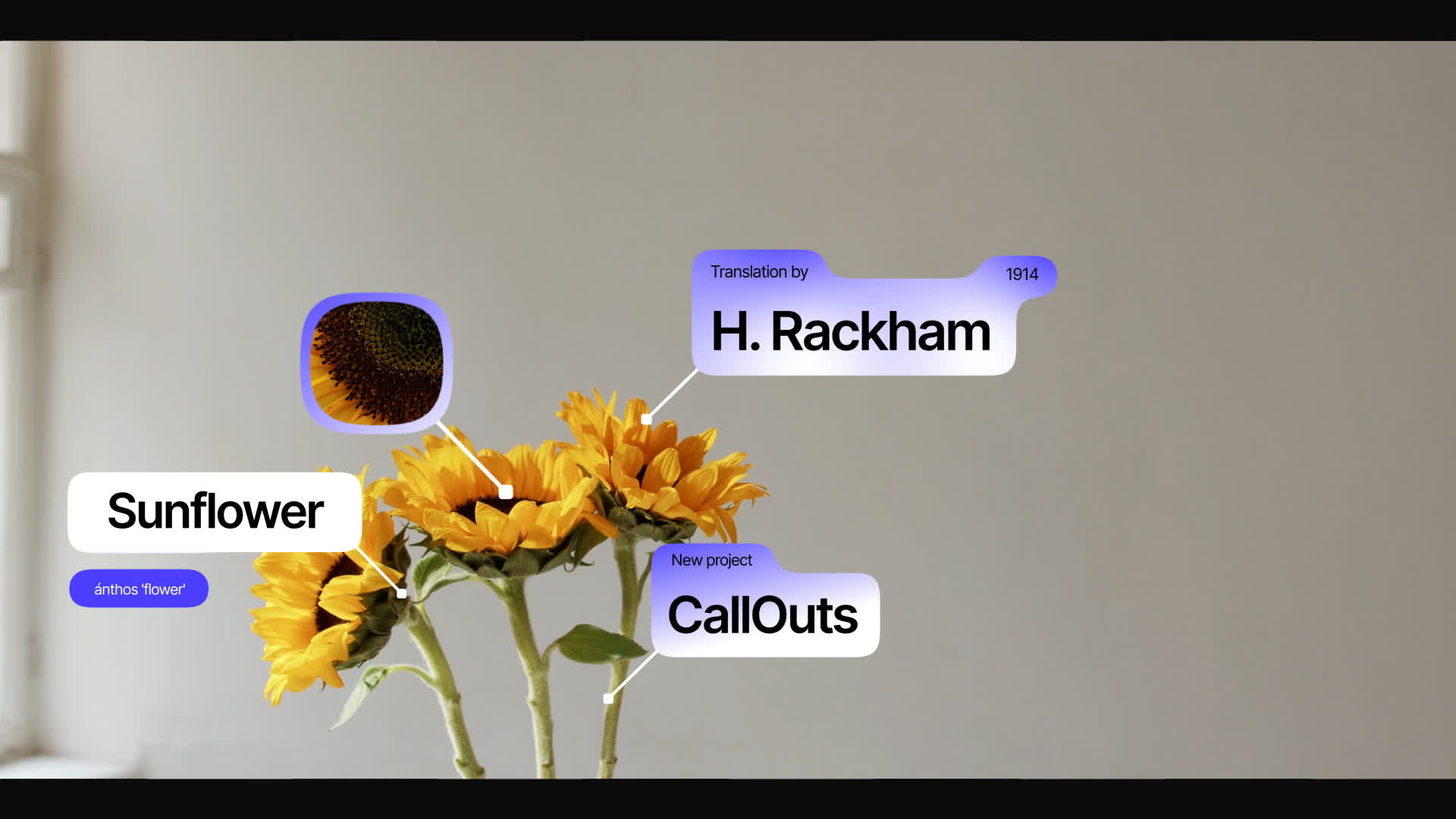 Blue Gradient Modern Call Outs 
