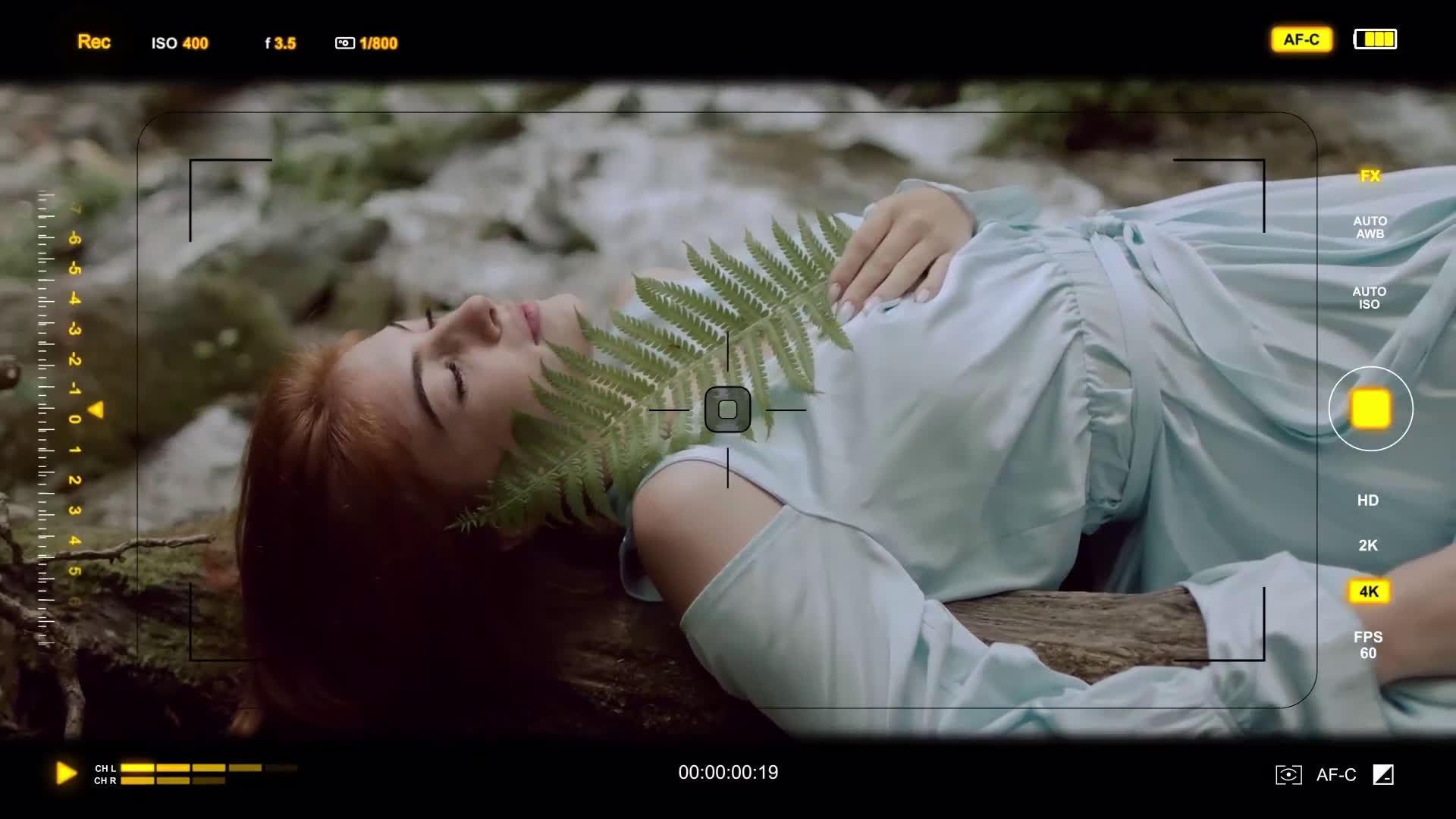 Camera Viewfinder HUD