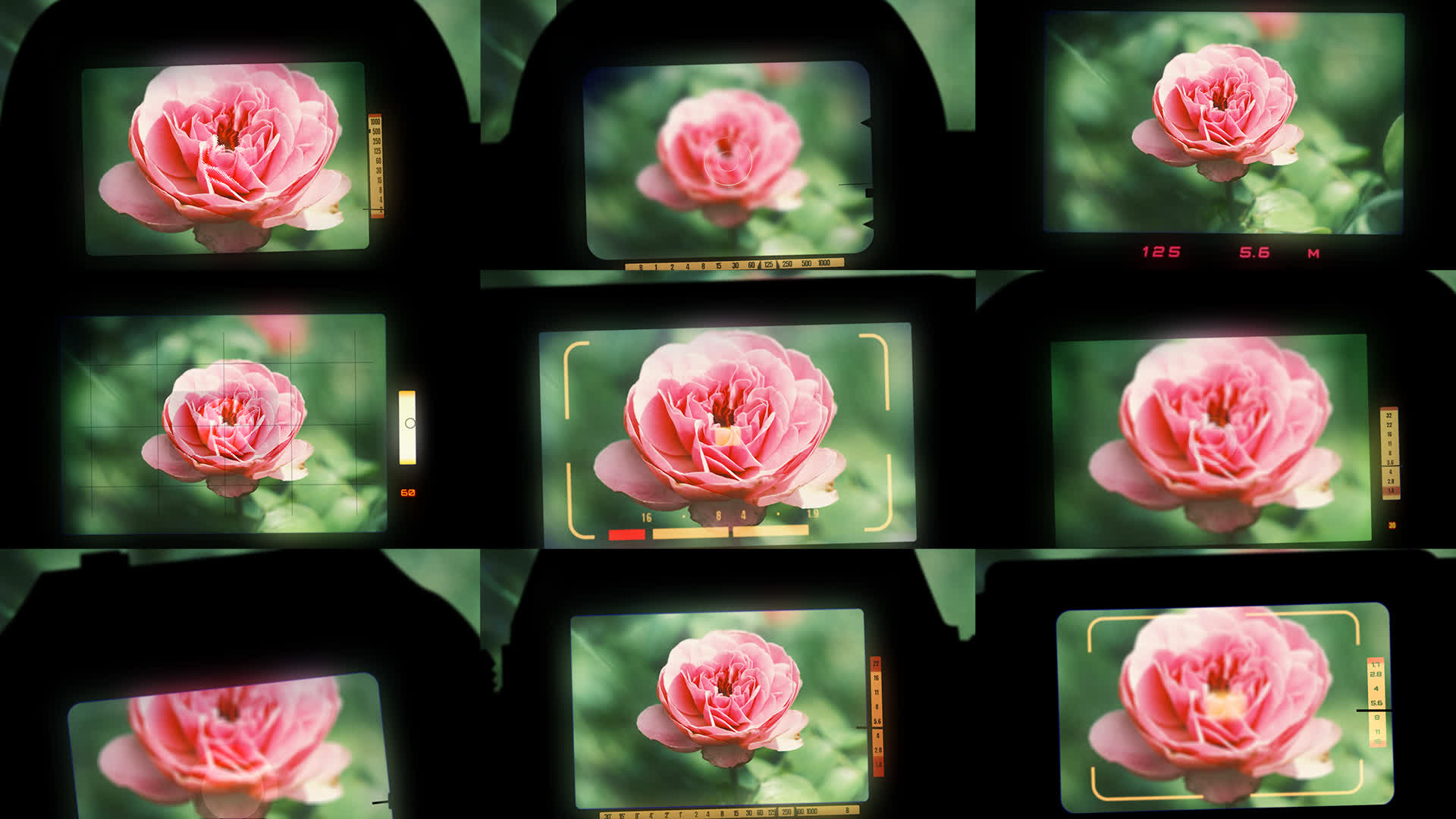 Camera Viewfinder Transitions