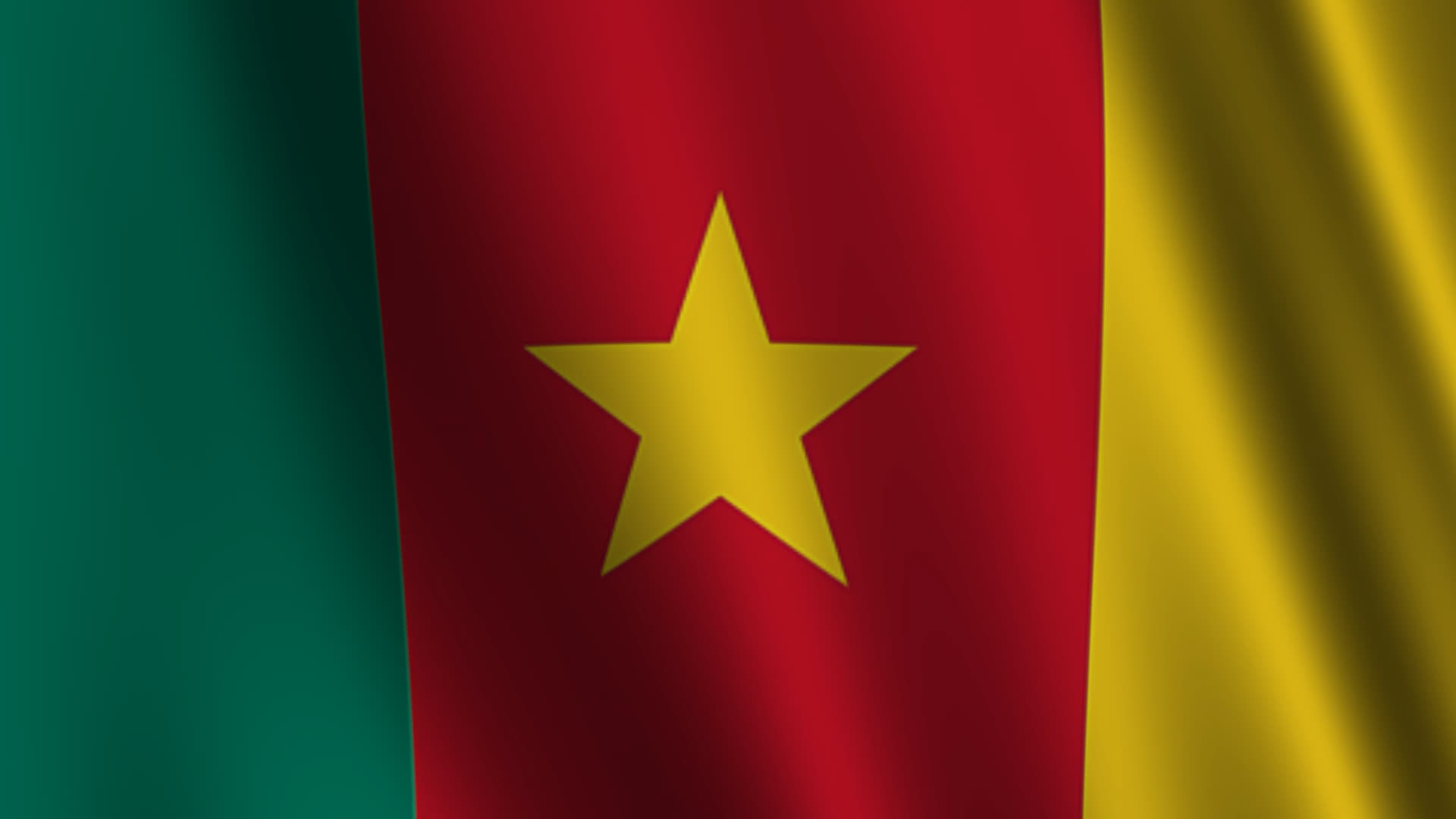 Cameroon Flag Waving