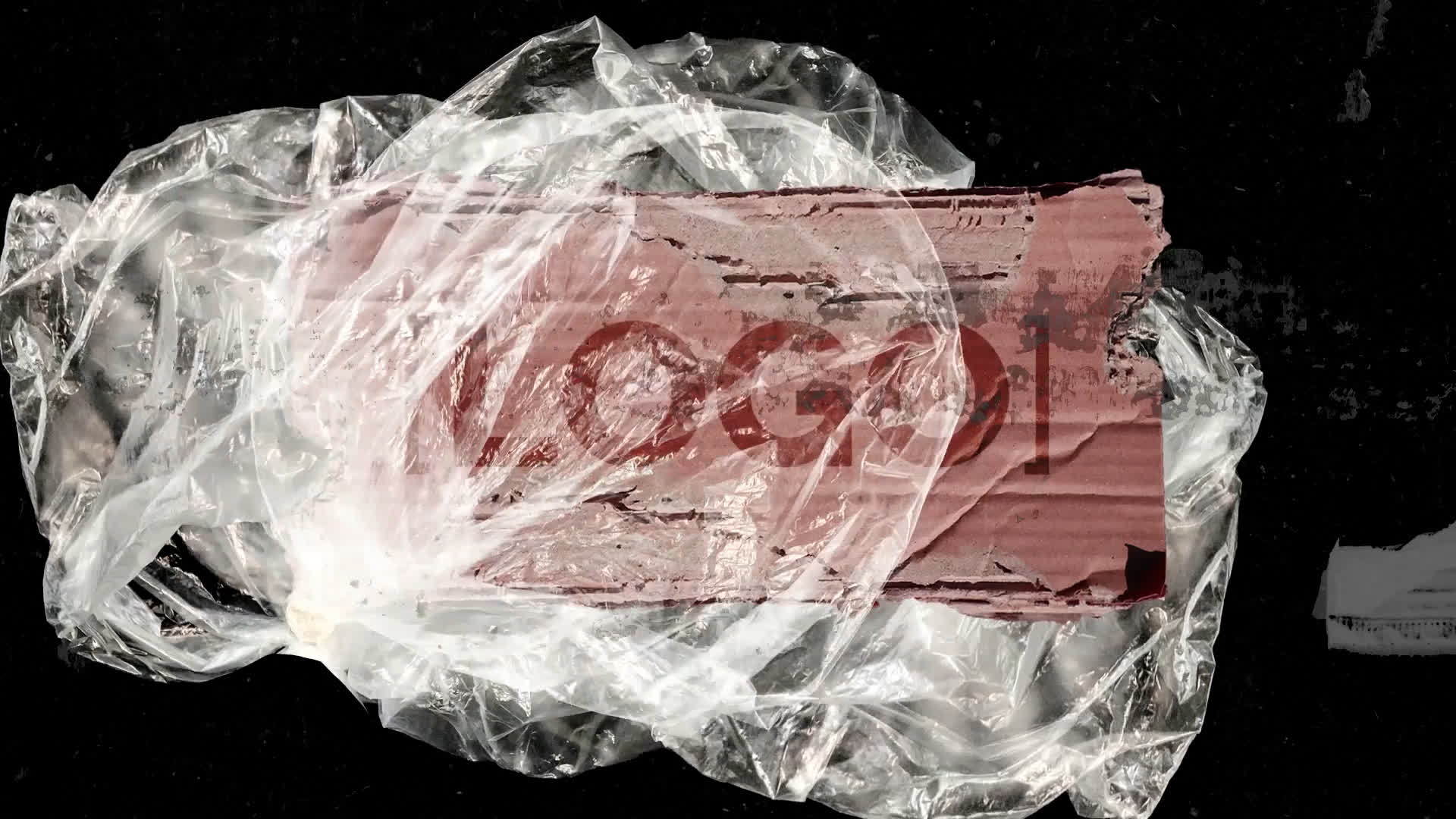 Cardboard Logo Reveal