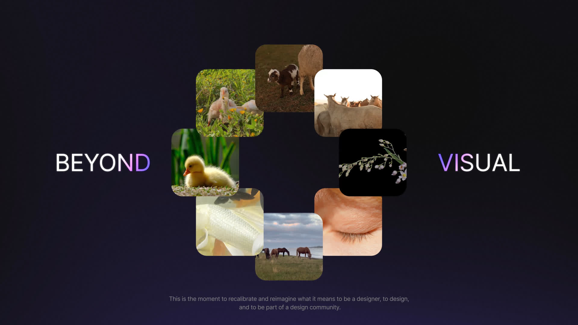 Social Media Carousel Slides