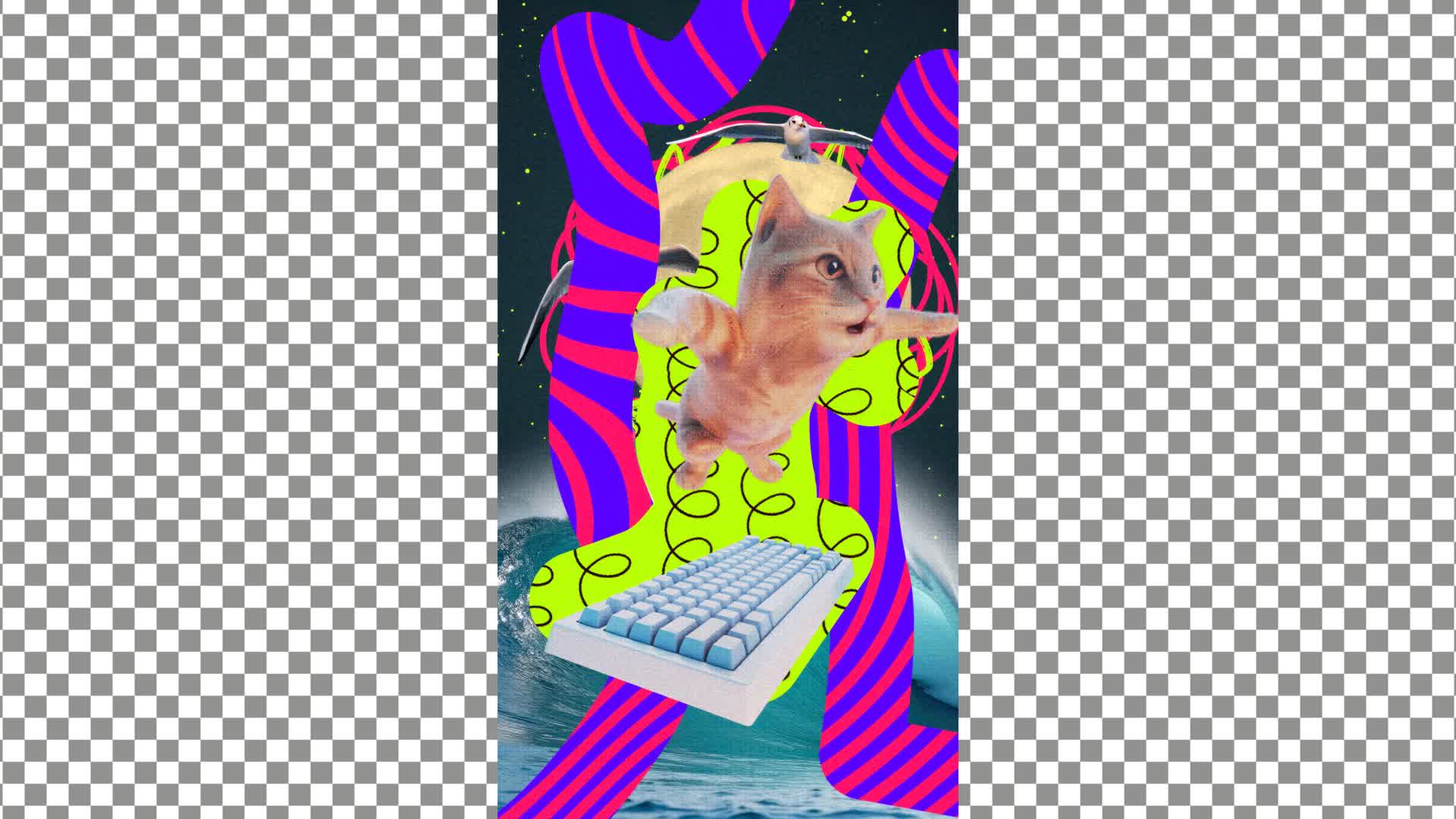 Cat Surfing Paper Transition