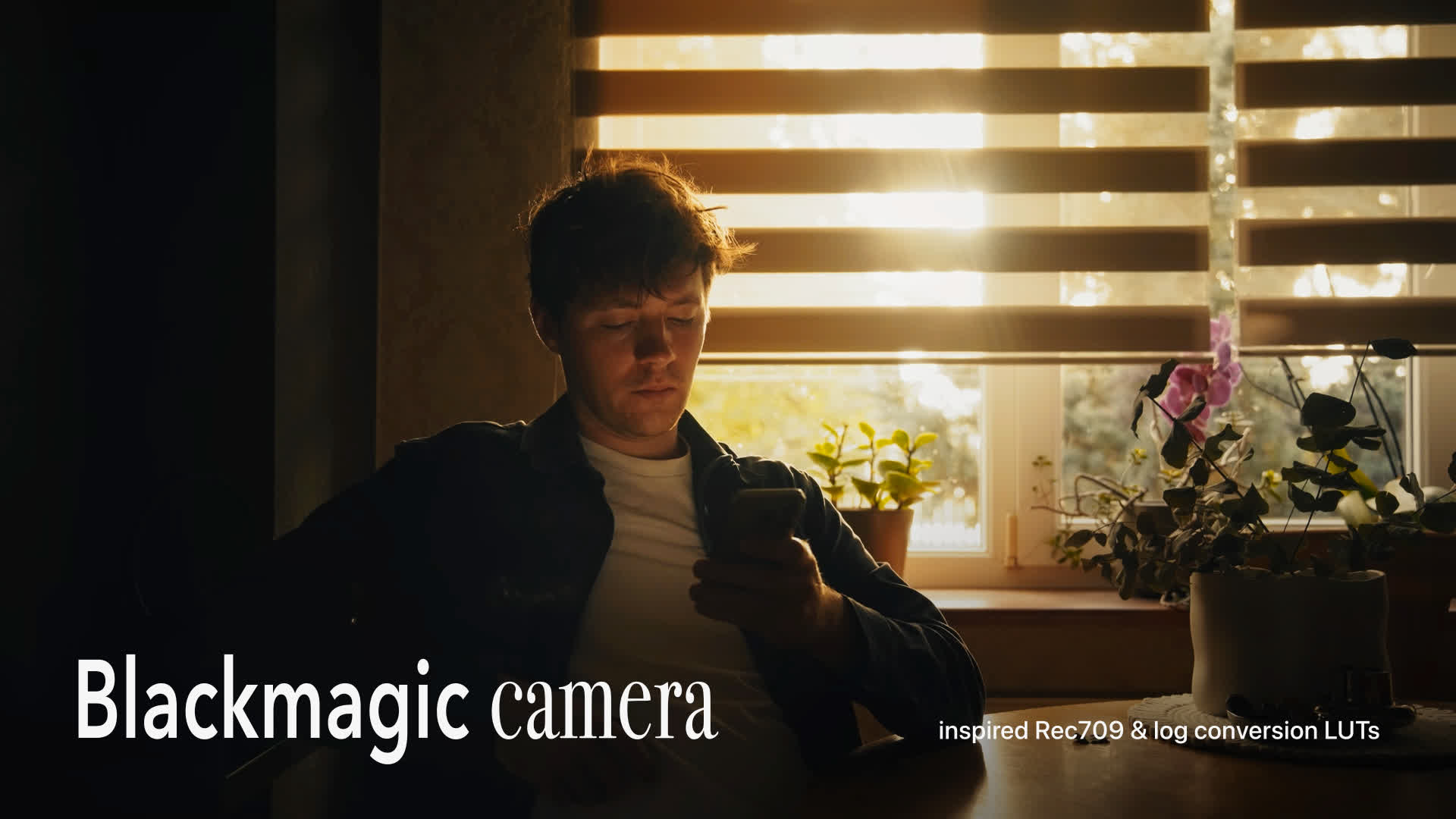 Cinematic Blackmagic Luts